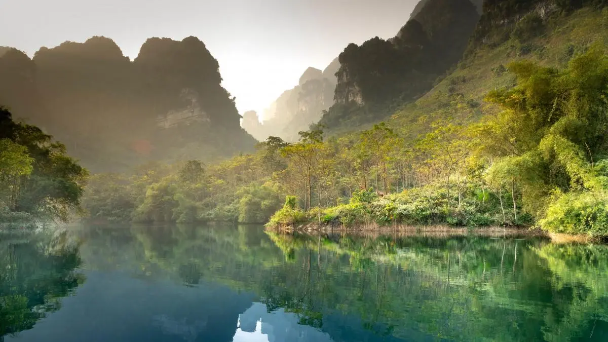 高效无人化高质量